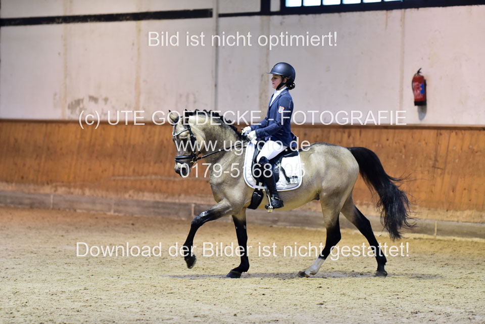 Göthling,-Fabienne---Nelson-King_5.jpg