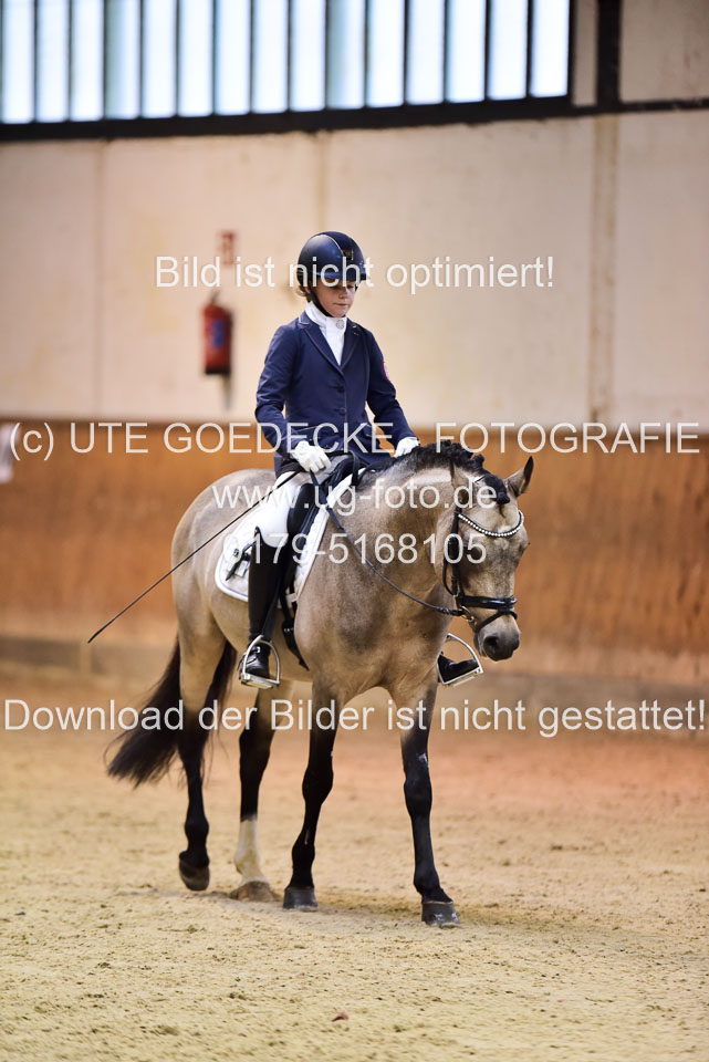 Göthling,-Fabienne---Nelson-King_8.jpg