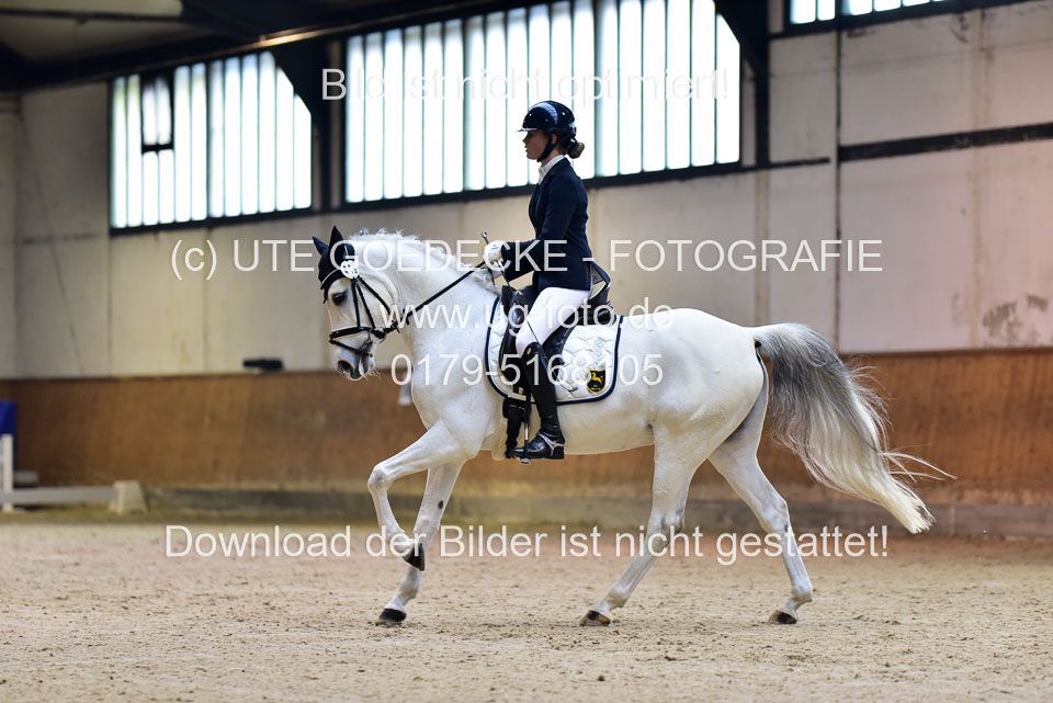 Hecker,-Pauline---Douy-la-Ramee_13.jpg