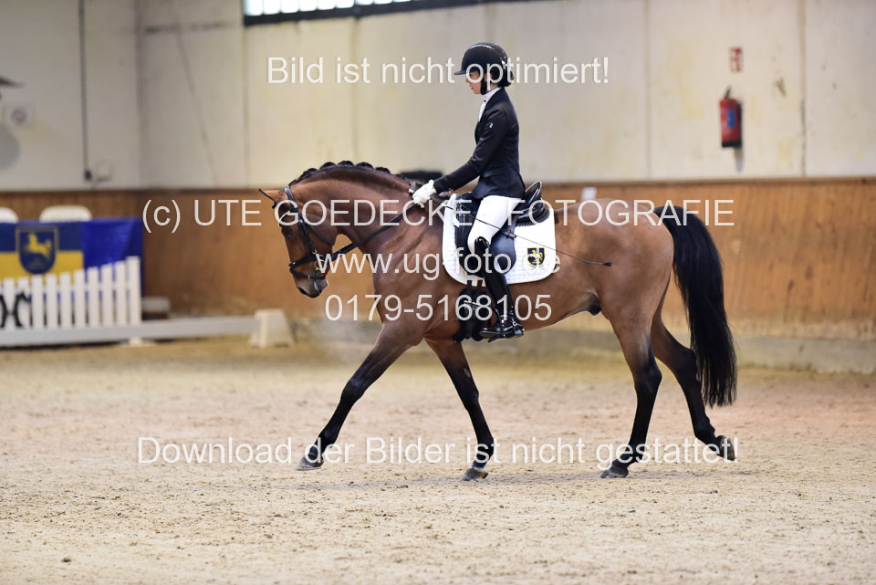 Lindhorst,-Nele---Grenzhoehes-Olivier-_01.jpg