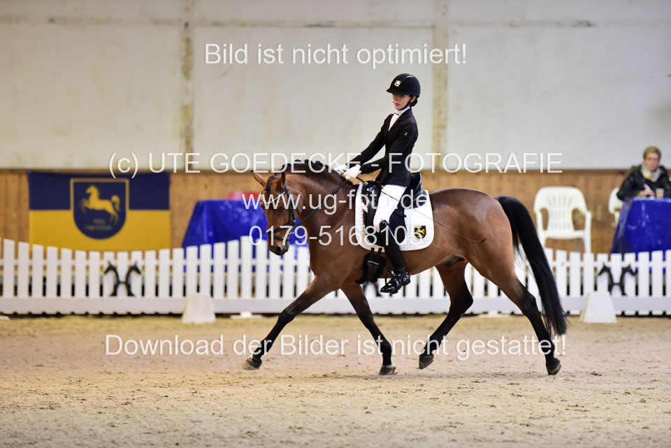 Lindhorst,-Nele---Grenzhoehes-Olivier-_05.jpg