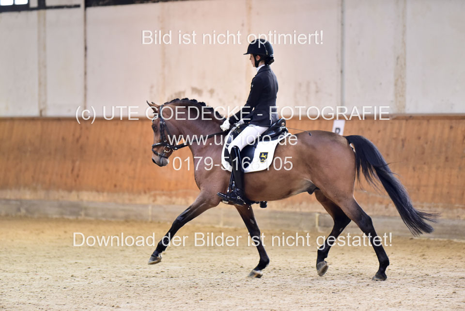 Lindhorst,-Nele---Grenzhoehes-Olivier-_06.jpg