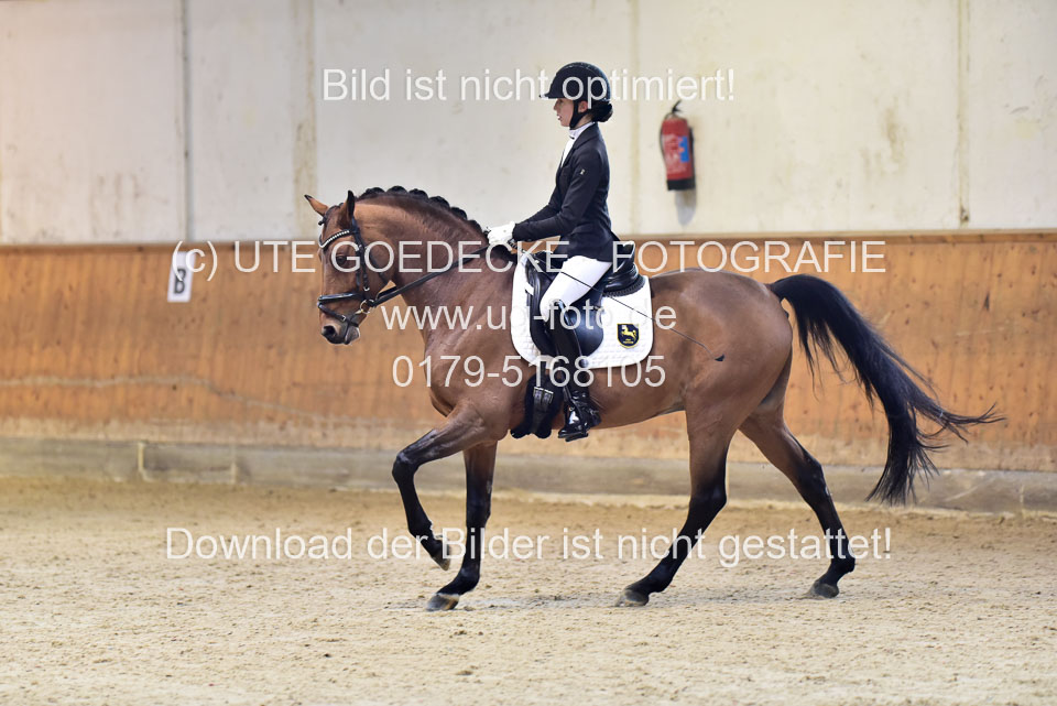 Lindhorst,-Nele---Grenzhoehes-Olivier-_10.jpg