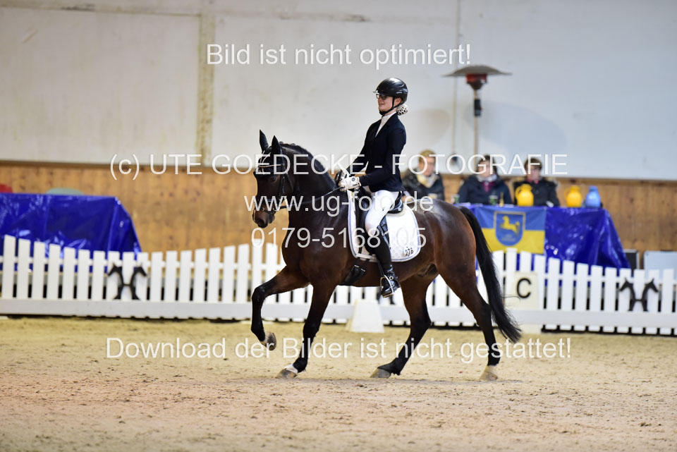 Rebien,-Charlotte---Holsteins-Cononell_1.jpg