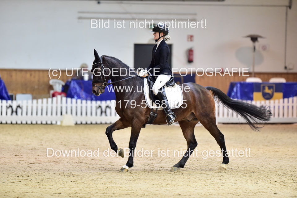 Rebien,-Charlotte---Holsteins-Cononell_2.jpg