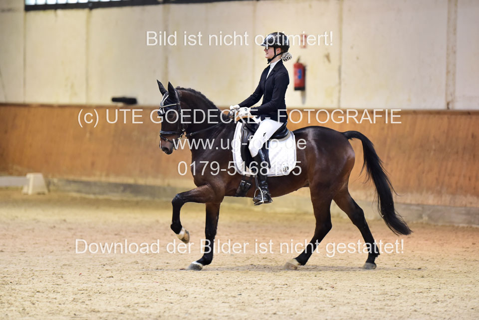 Rebien,-Charlotte---Holsteins-Cononell_3.jpg