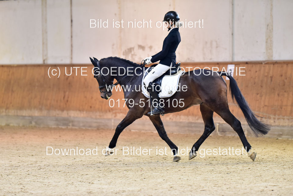 Rebien,-Charlotte---Holsteins-Cononell_5.jpg