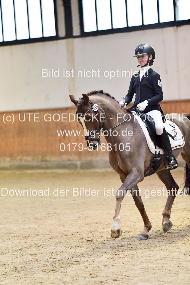 Schmitz-Heinen,-Julie-Sofie---Carlos_02.jpg