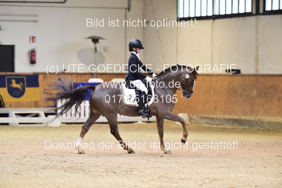 Schmitz-Heinen,-Julie-Sofie---Carlos_03.jpg