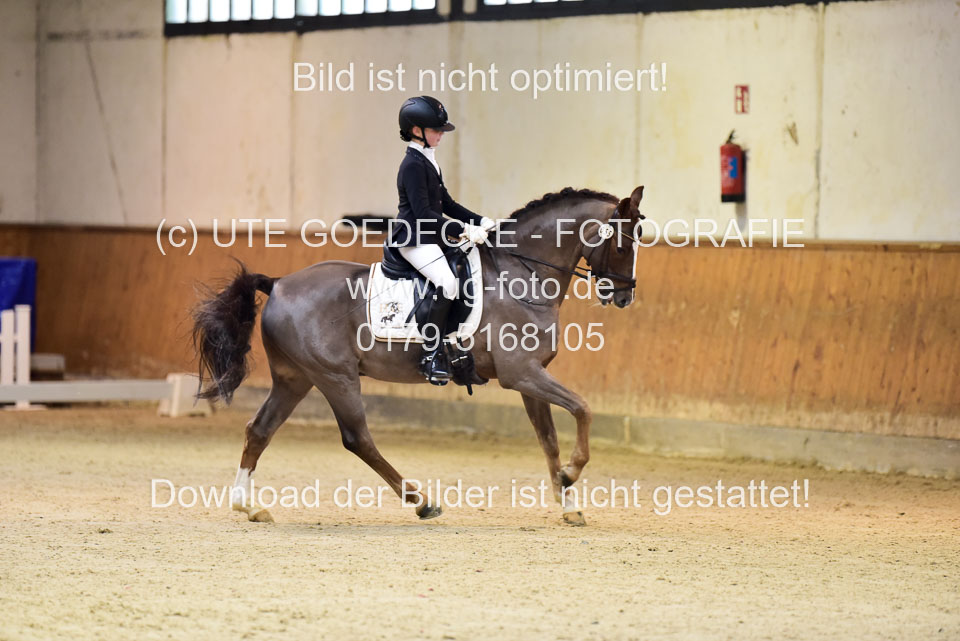 Schmitz-Heinen,-Julie-Sofie---Carlos_04.jpg