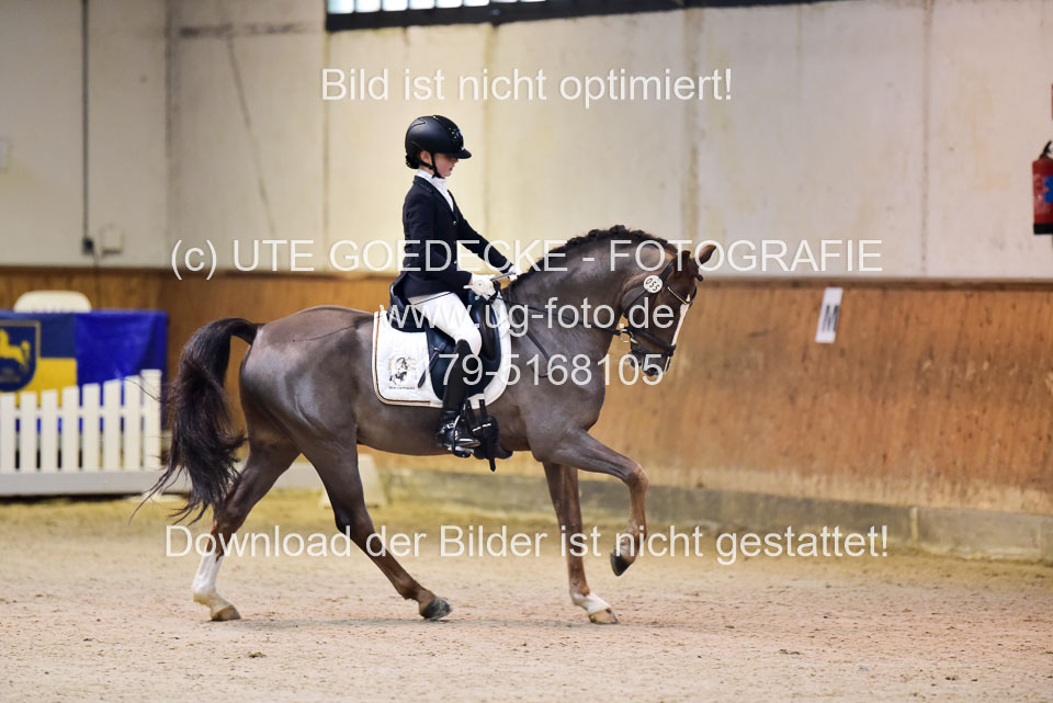 Schmitz-Heinen,-Julie-Sofie---Carlos_06.jpg
