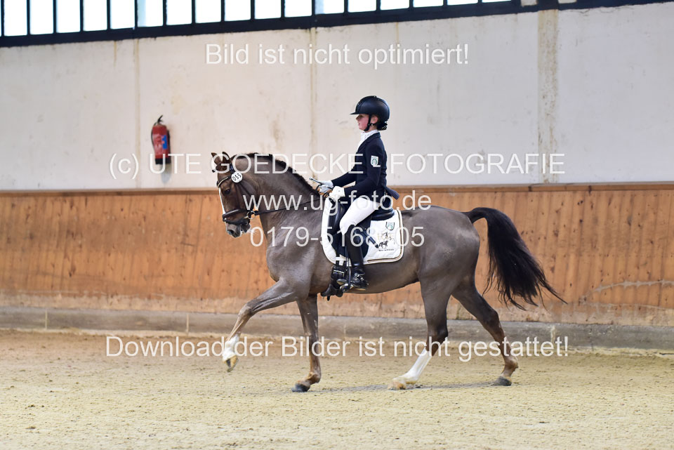 Schmitz-Heinen,-Julie-Sofie---Carlos_12.jpg