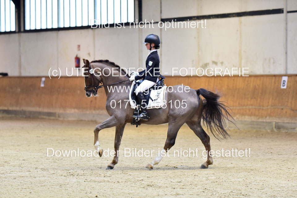 Schmitz-Heinen,-Julie-Sofie---Carlos_14.jpg