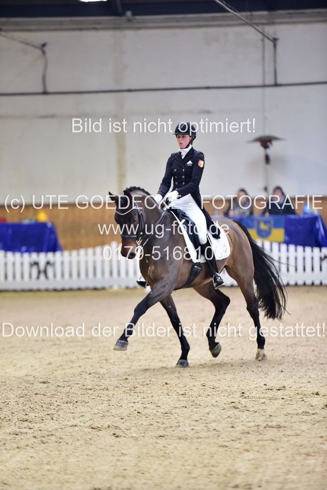 Grunwald,-Nane---Solitaire_05.jpg