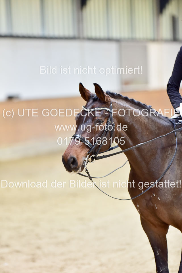 Grunwald,-Nane---Solitaire_22.jpg