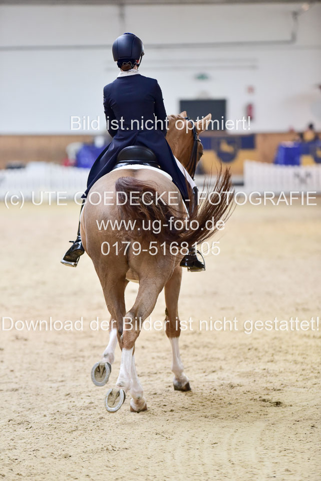 Koecher,-Vivien---Reine-Freude_01.jpg