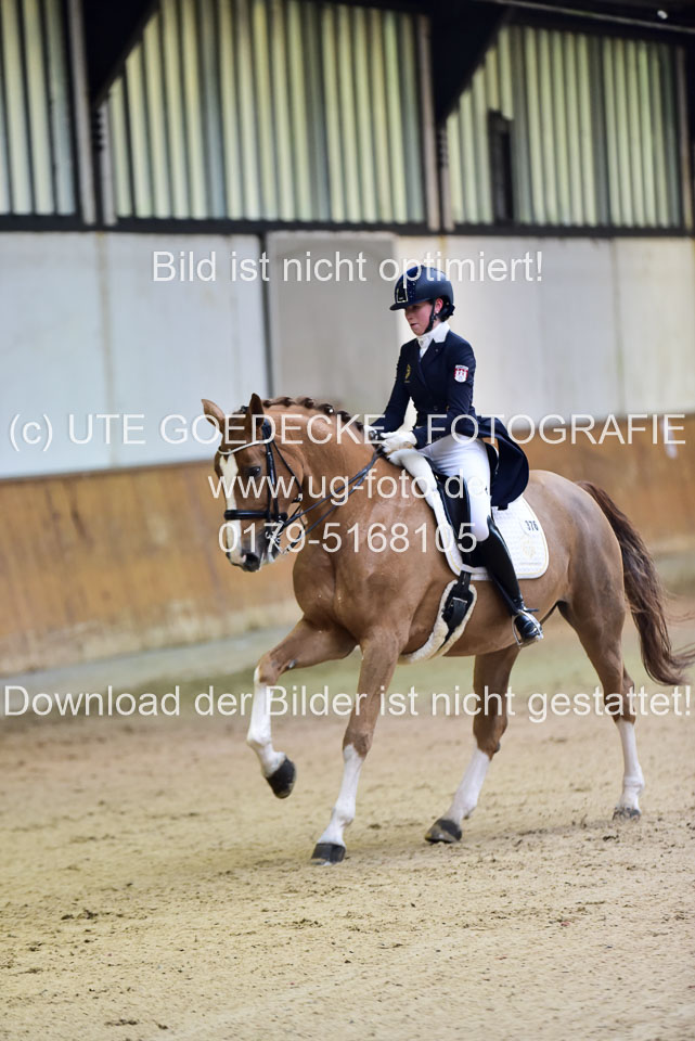 Koecher,-Vivien---Reine-Freude_14.jpg