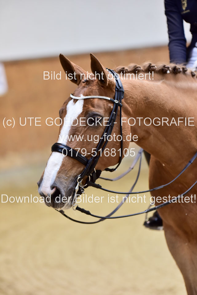 Koecher,-Vivien---Reine-Freude_17.jpg