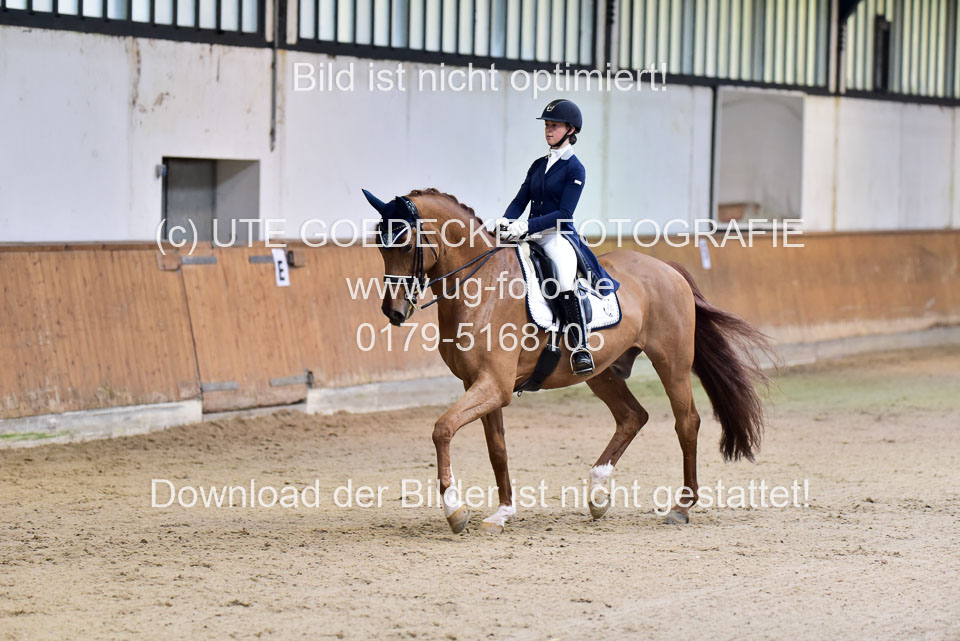 Niederdorf,-Ida-Luise---CSI_07.jpg