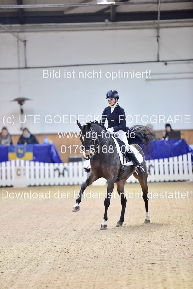 Plinke,-Madeleine---Sapphires-Glory_11.jpg