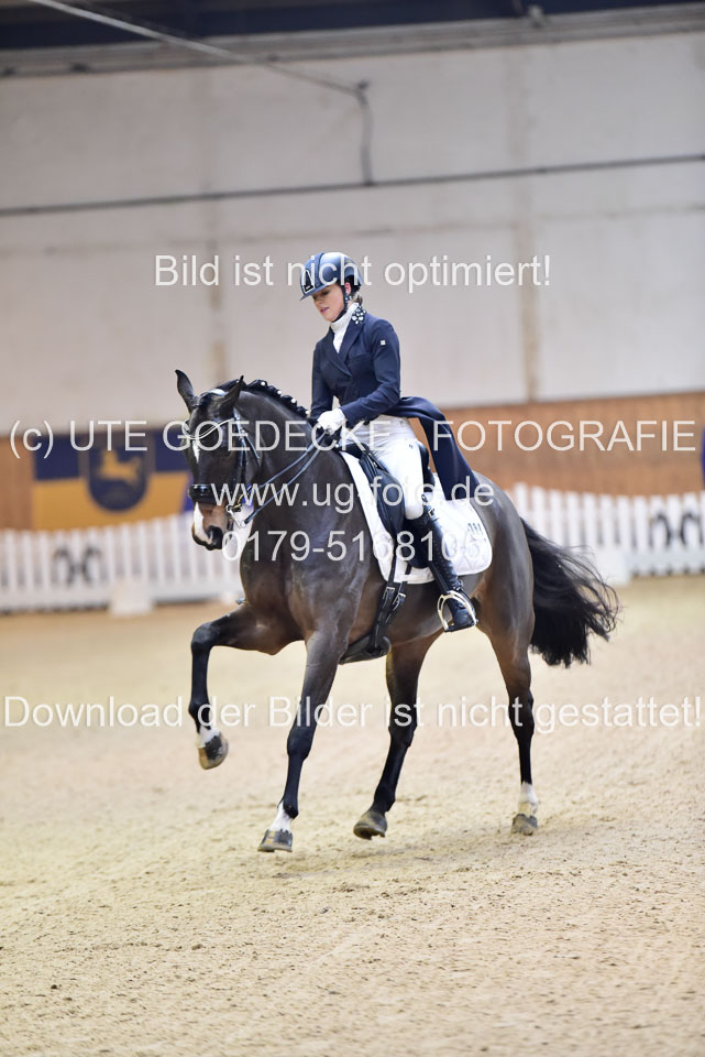 Plinke,-Madeleine---Sapphires-Glory_18.jpg
