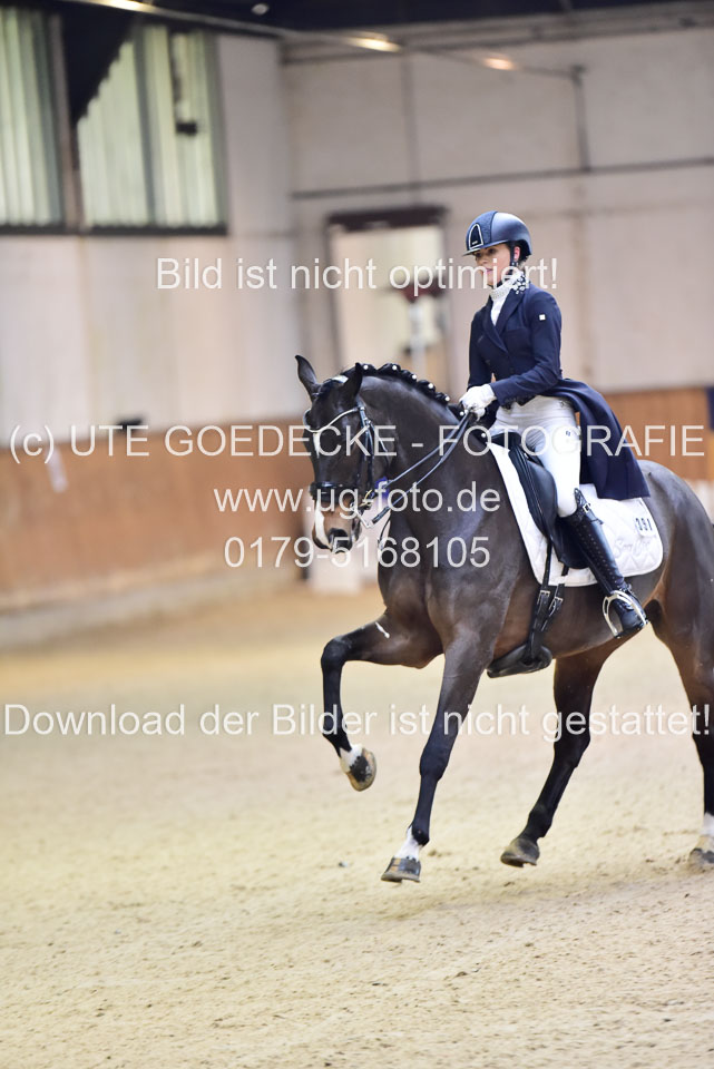 Plinke,-Madeleine---Sapphires-Glory_19.jpg
