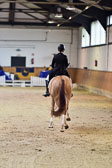 Finale Dressur Kl S - Junge Reiter