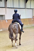 Finale Dressur Kl S - Junge Reiter
