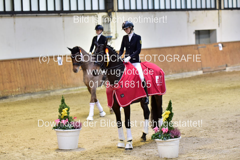 DSC_8665.jpg