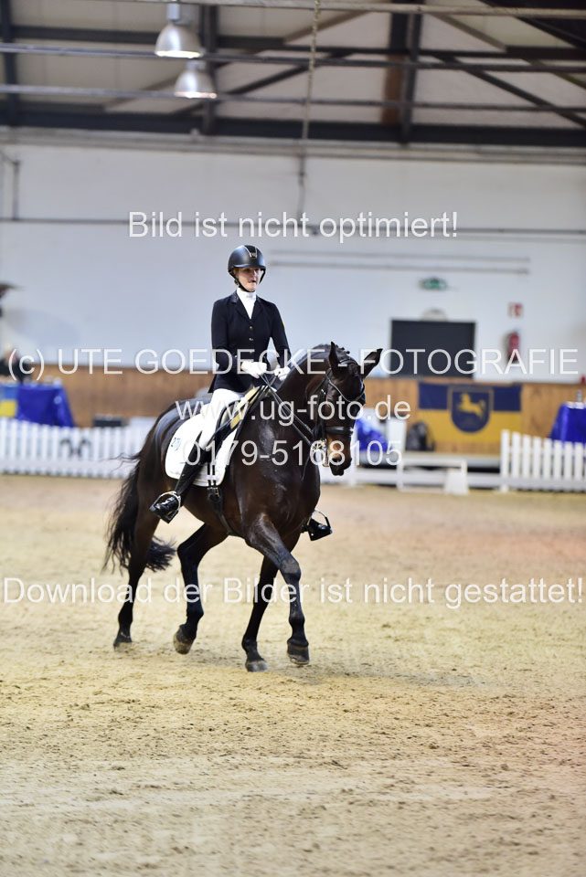 Derlien,-Anna---Holly-Golighly_2.jpg