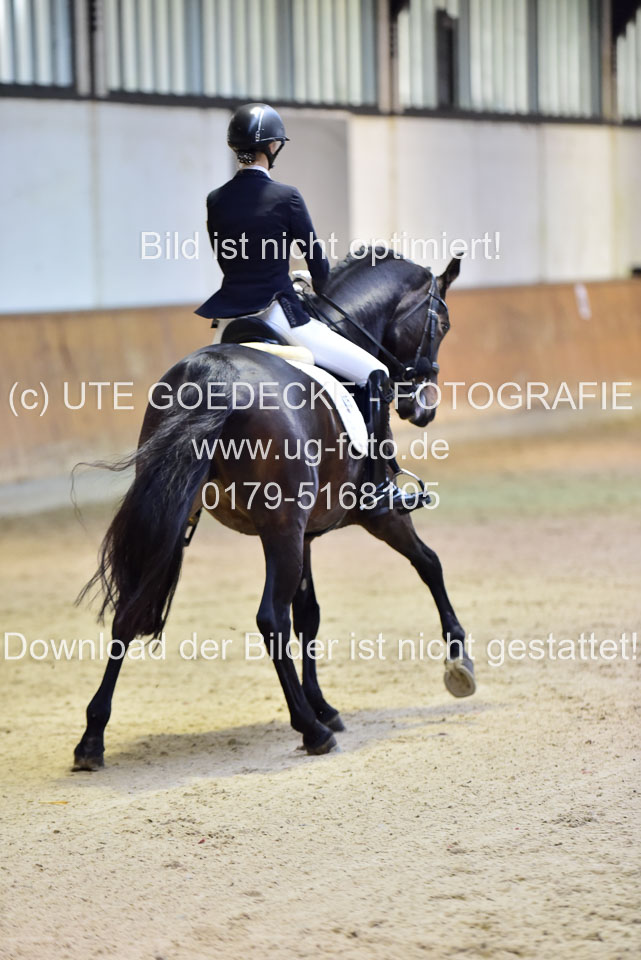 Derlien,-Anna---Holly-Golighly_5.jpg