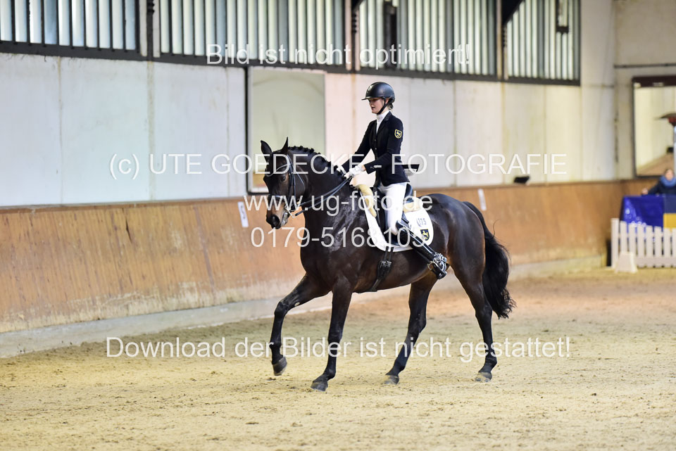 Derlien,-Anna---Holly-Golighly_9.jpg