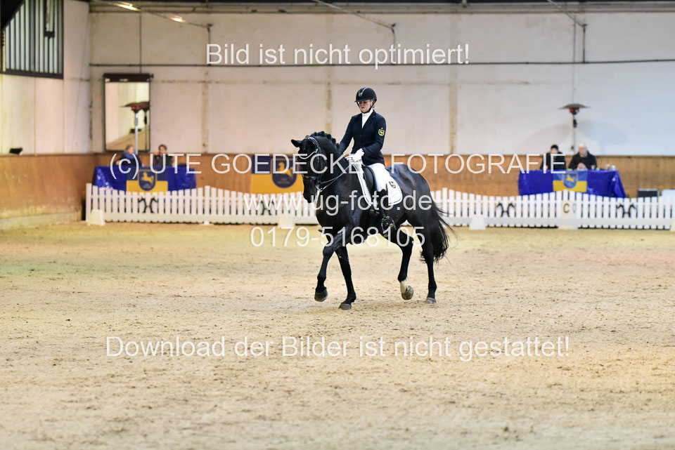 Schnakenberg,-Maja---Nymphenburgs-Disco-Fox_3.jpg