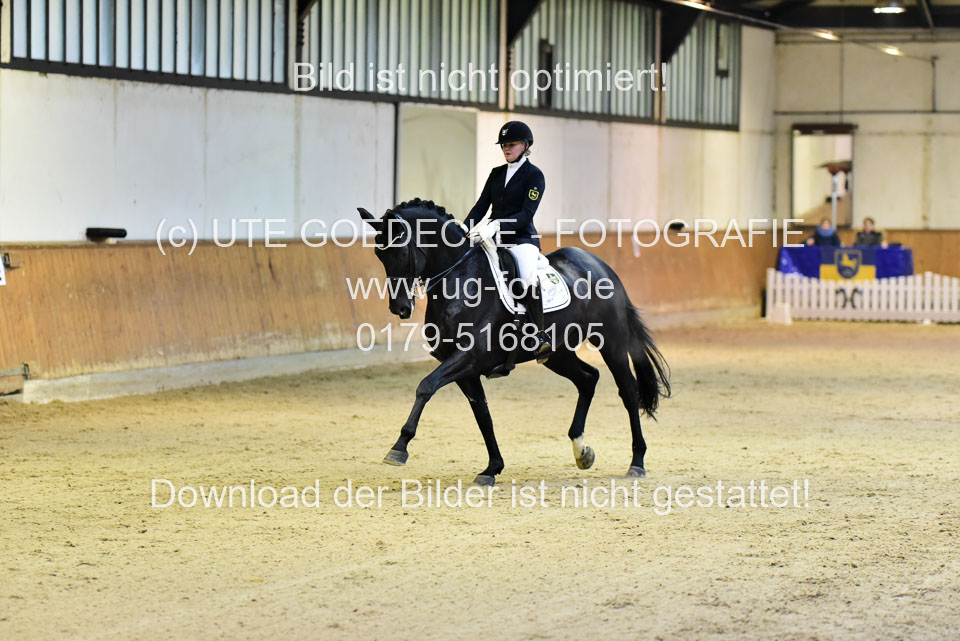 Schnakenberg,-Maja---Nymphenburgs-Disco-Fox_4.jpg