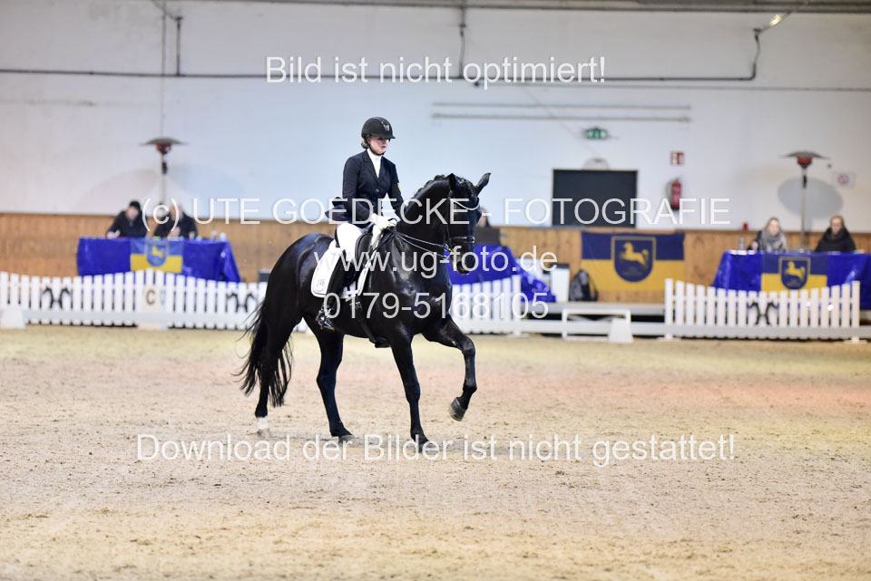 Schnakenberg,-Maja---Nymphenburgs-Disco-Fox_6.jpg