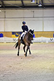 Gagel,-Pia-Carlotta---Mellemhavrs-Copperfield-_2.jpg