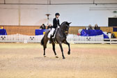 Kiesewetter,-Taja---His-little-Son_5.jpg