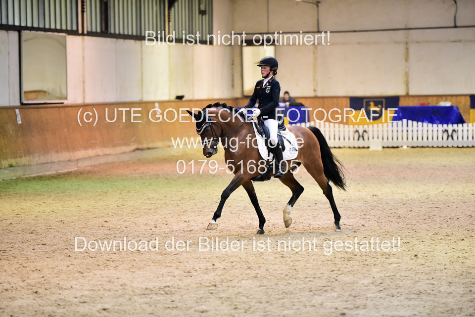 Busch-Kuffner,-Antonia---Reitlands-Obama_b-1.jpg