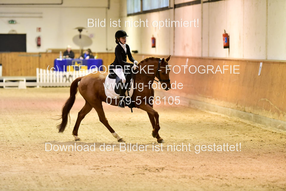 Ehlen,-Marie--Arts-Deltano_09.jpg