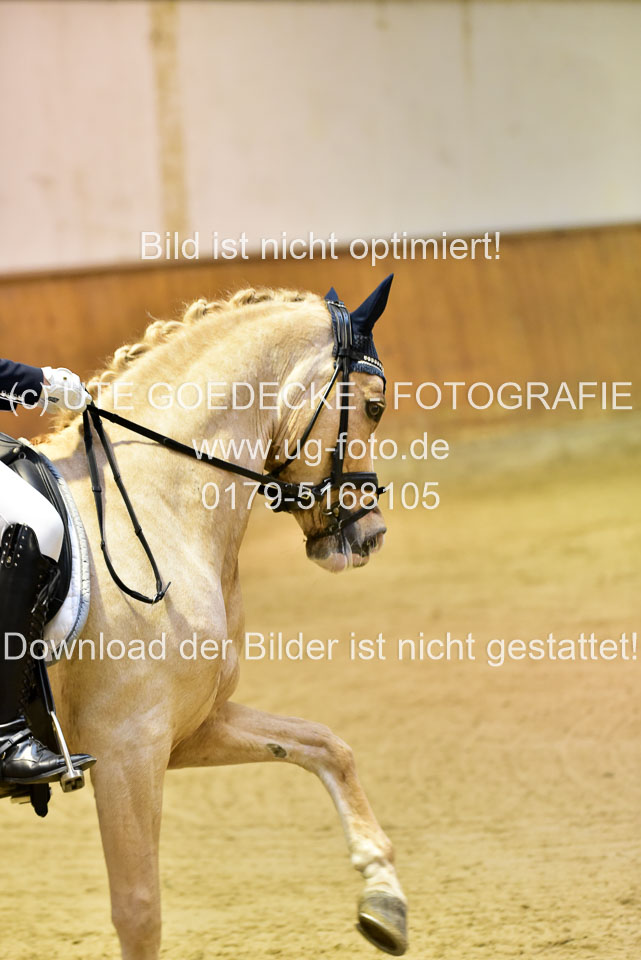 Heins,-Lena-Louise---Casino-Royal_05.jpg