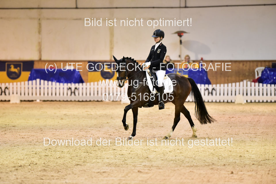 Holtfreter,-Marie---Dancing-Daylight_01.jpg