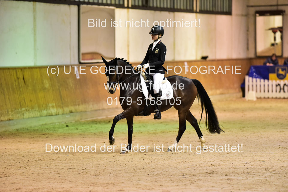 Holtfreter,-Marie---Dancing-Daylight_02.jpg
