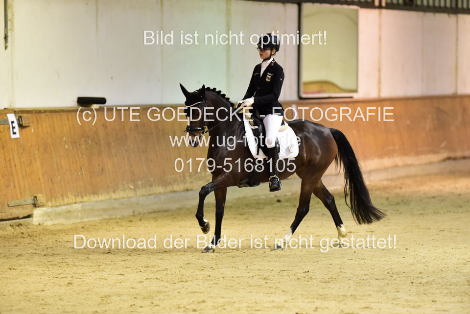 Holtfreter,-Marie---Dancing-Daylight_03.jpg