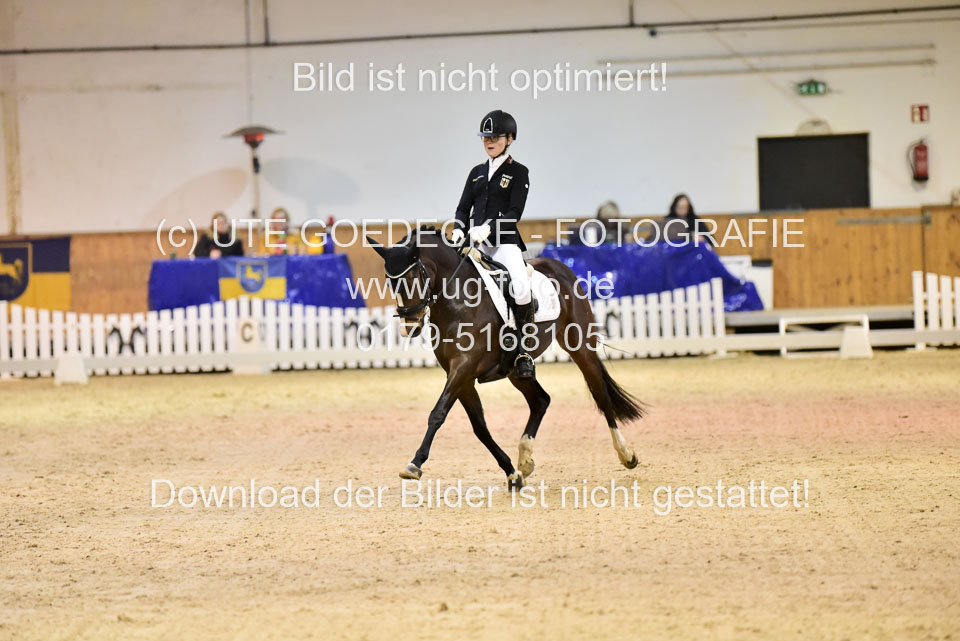 Holtfreter,-Marie---Dancing-Daylight_06.jpg