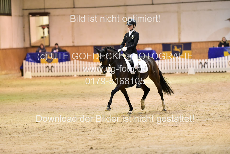 Holtfreter,-Marie---Dancing-Daylight_07.jpg
