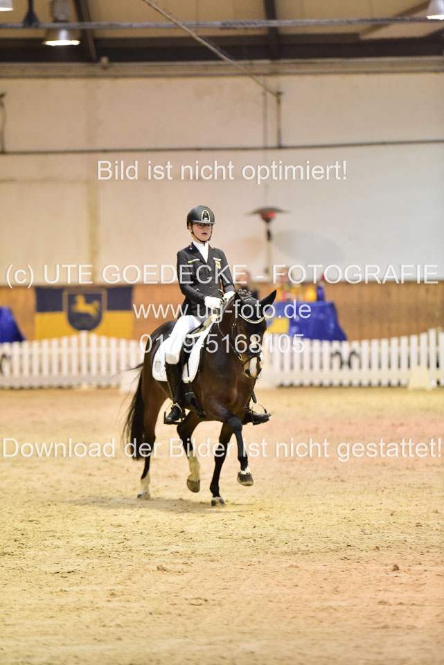 Holtfreter,-Marie---Dancing-Daylight_09.jpg