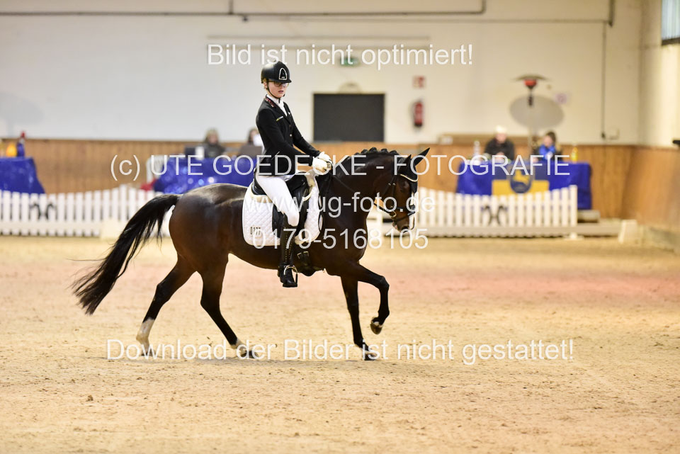 Holtfreter,-Marie---Dancing-Daylight_11.jpg