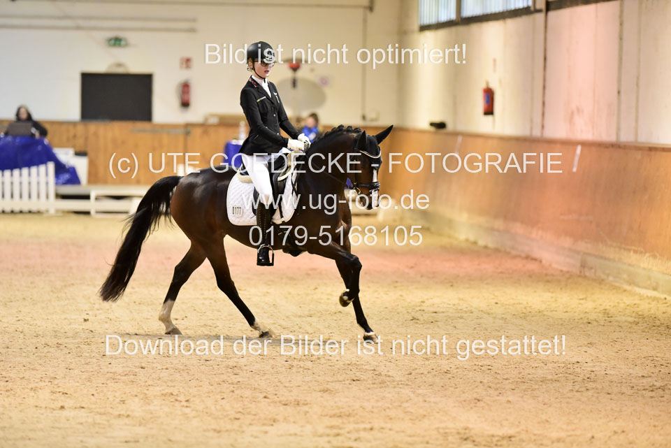 Holtfreter,-Marie---Dancing-Daylight_12.jpg