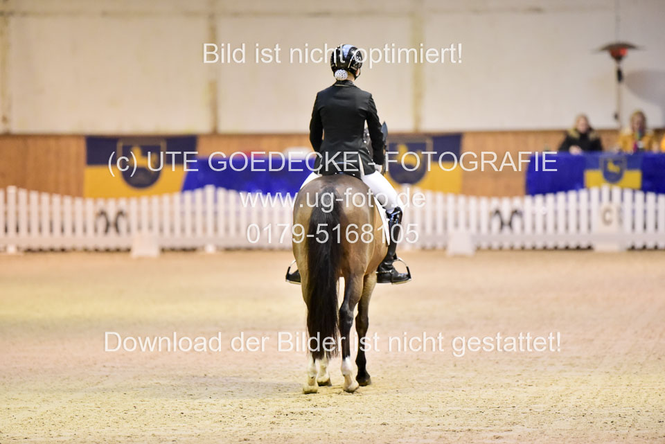 Sanders,-Leonie---Steverheiders-Wolfsblut_03.jpg