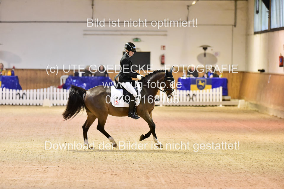 Sanders,-Leonie---Steverheiders-Wolfsblut_10.jpg